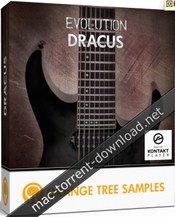 Orange tree sample evolution dracus icon