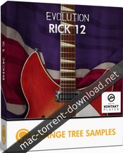 Orange tree samples evolution rick 12 icon