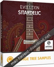 Orange tree samples evolution sitardelic icon