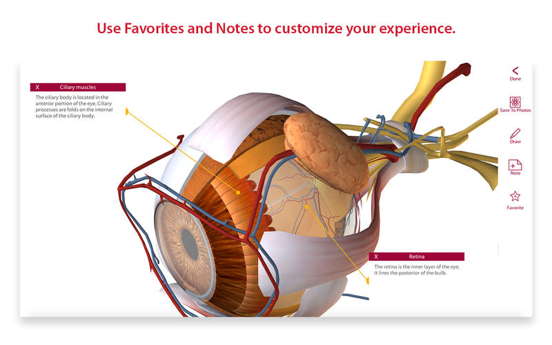 5_Anatomy_Physiology_–_An_Introduction_to_Body_Structures_and_Function.jpg