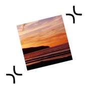 ExactScan Pro