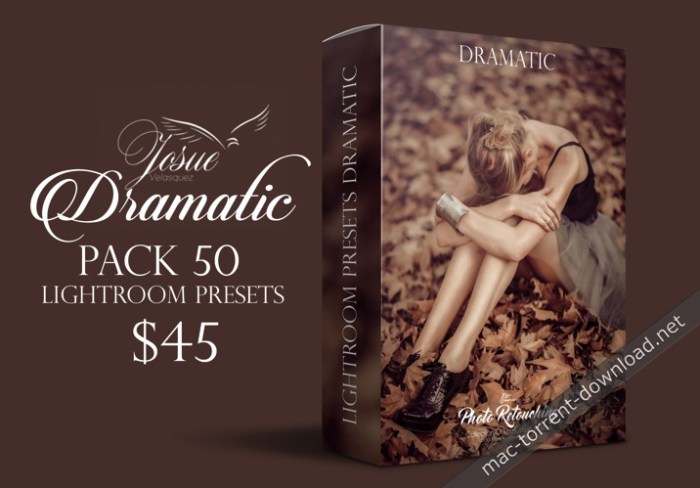 DRAMATIC  LIGHTROOM PRESETS