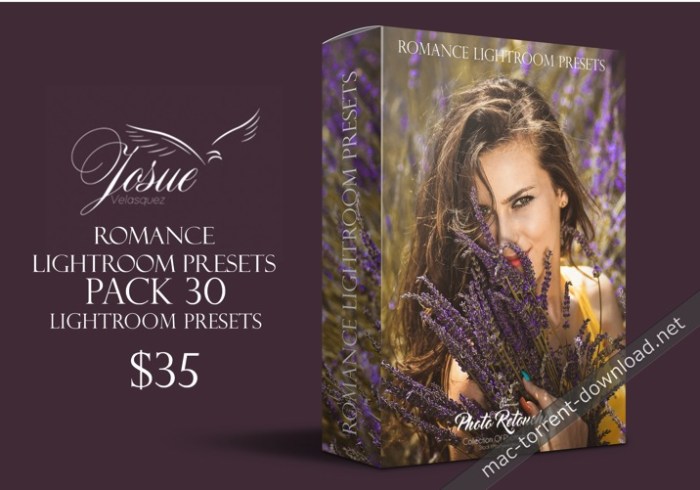 ROMANCE  LIGHTROOM PRESETS