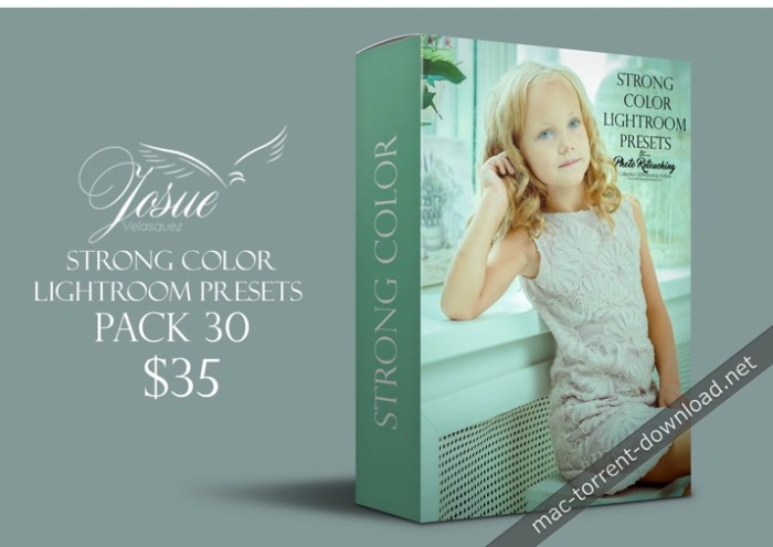 STRONG COLOR - LIGHTROOM PRESETS.jpg STRONG COLOR - LIGHTROOM PRESETS