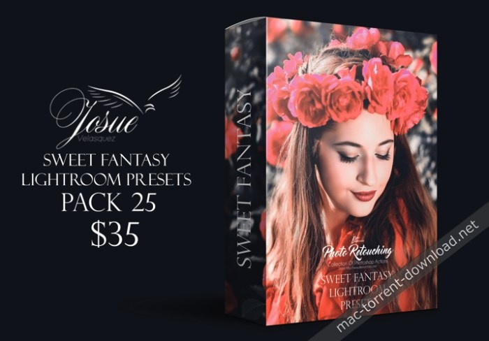 SWEET FANTASY  LIGHTROOM PRESETS
