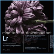 Adobe lightroom 6 8 icon