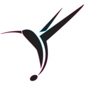 Colibri icon