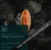 Adobe photoshop lightroom cc 1 0 icon
