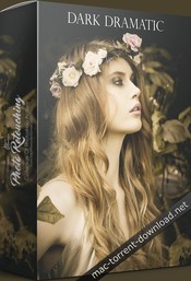 Dark dramatic lightroom presets 1756922 icon