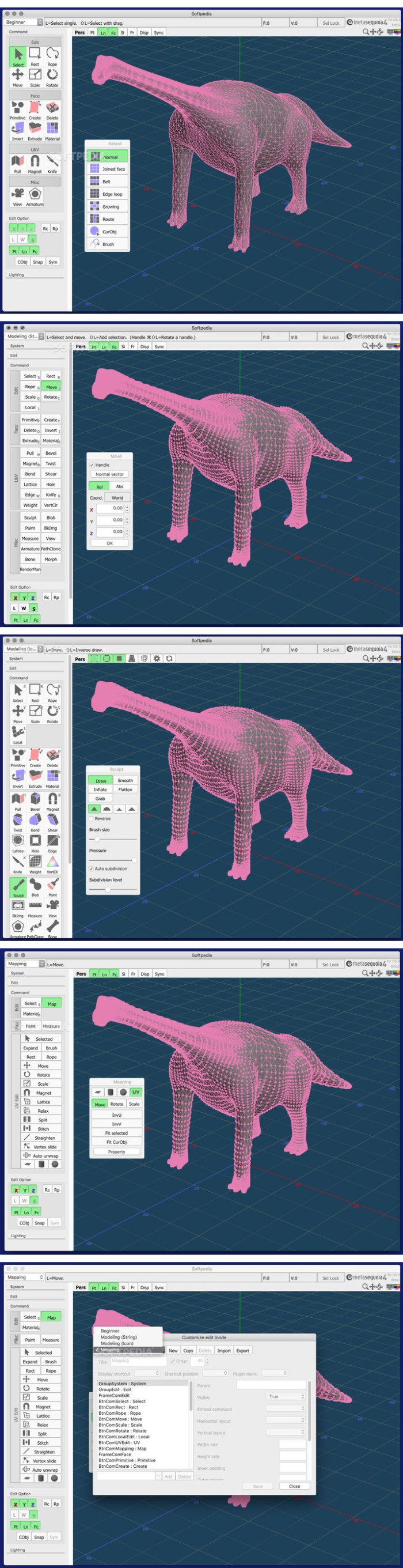 metasequoia_459.jpg metasequoia_459