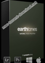 Preset factory earth tones icon