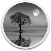 Reflect studio 2 5 icon