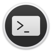 Trminal icon