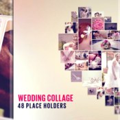 Videohive wedding 19328855 icon