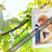 Videohive wedding 8012602 icon
