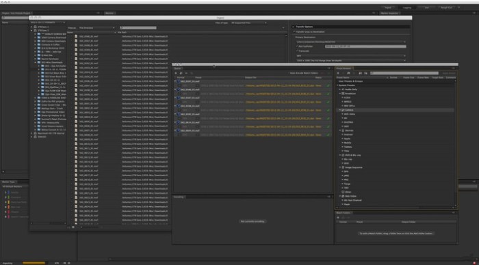 adobe_prelude_cc_20154_v501
