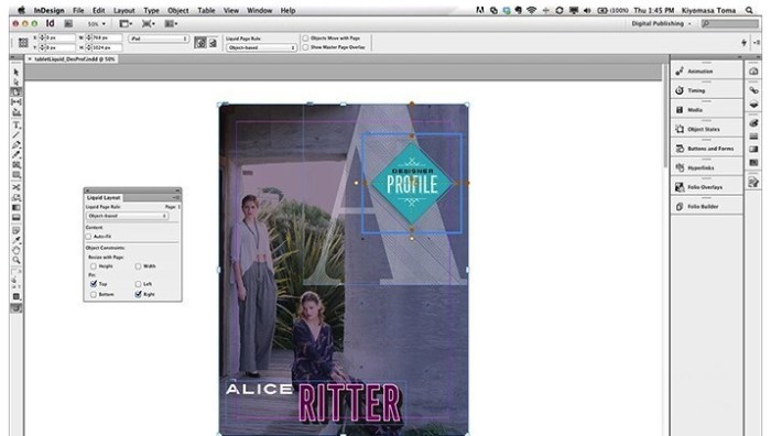 adobe_indesign_cc_2015_1141102