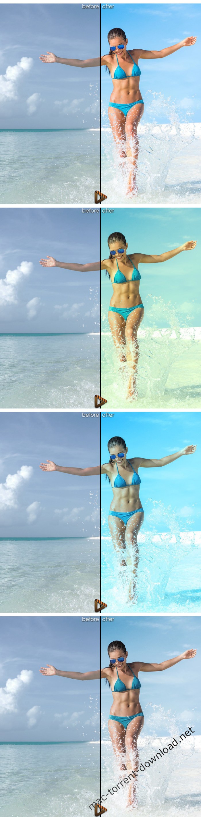 capturec_megabundle_plus500_luts_win_mac