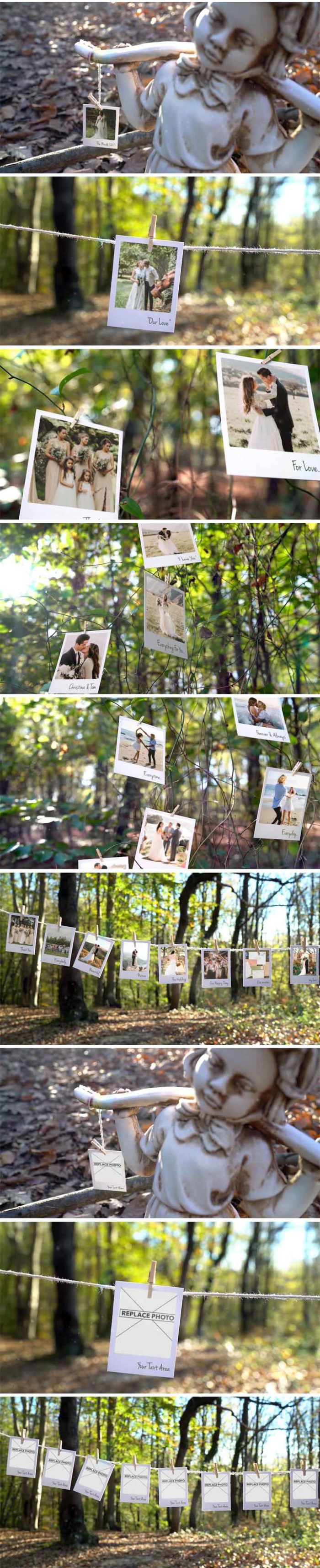 videohive_photo_memories_on_trees_19338045