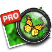 Focus 2 Pro