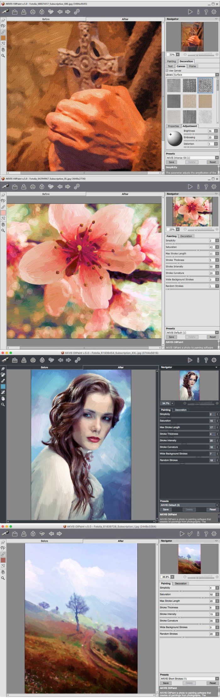 akvis_oilpaint_plugin_5052113551