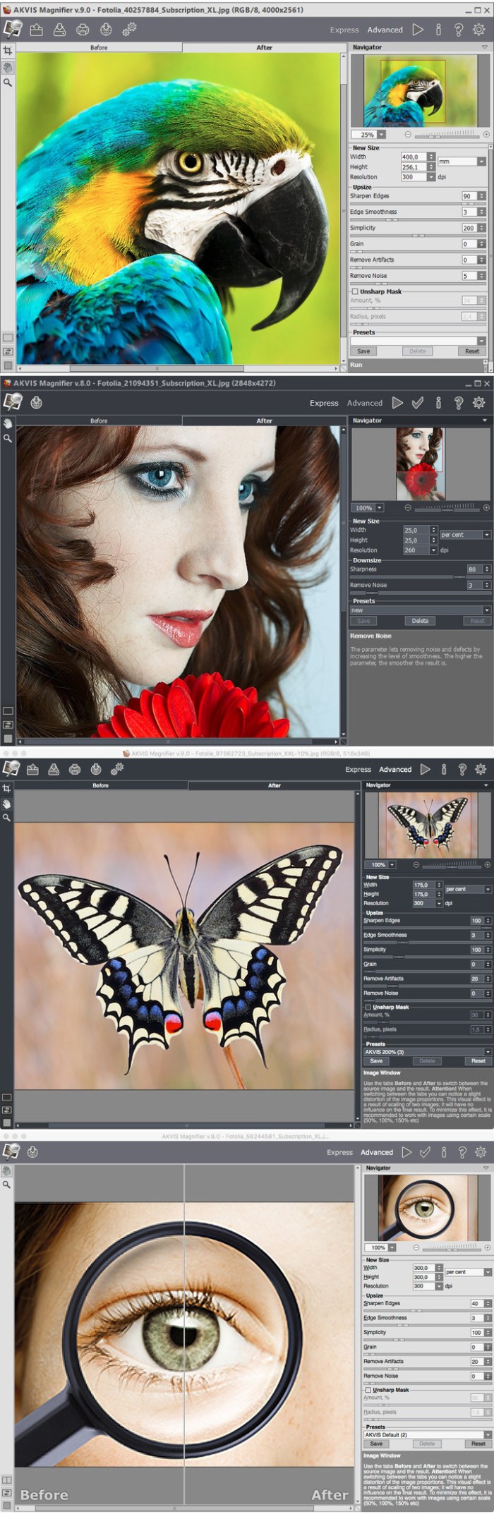 akvis_magnifier_90118813948.jpg akvis_magnifier_90118813948