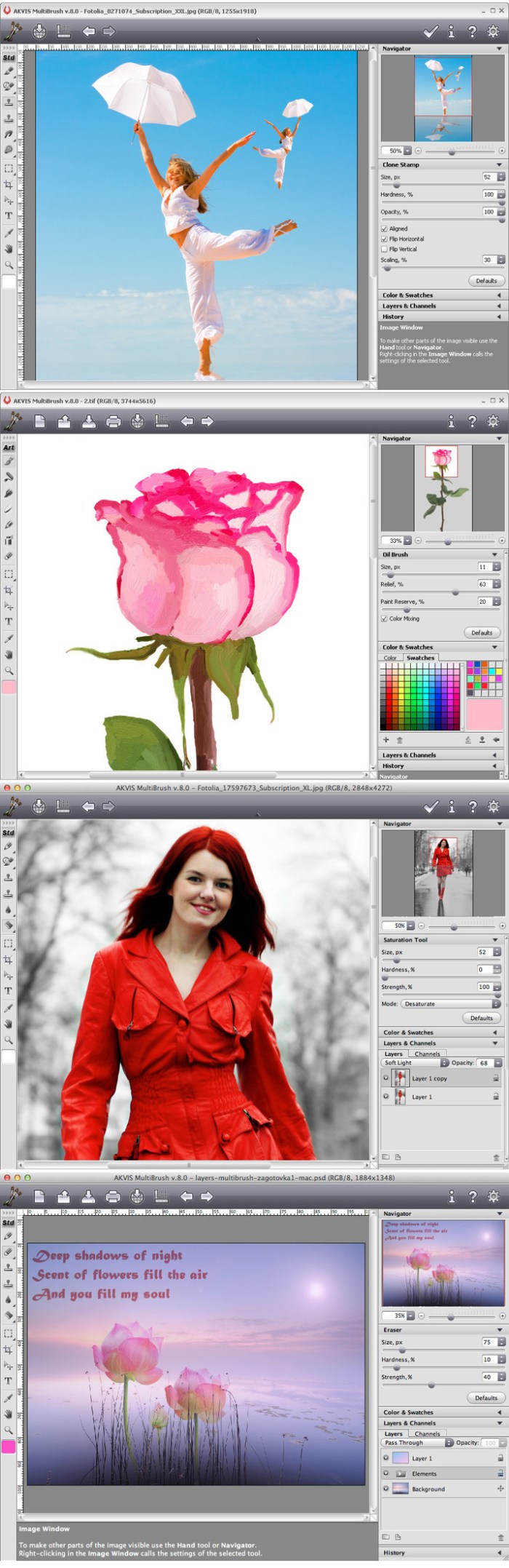 akvis_multibrush_80155810665
