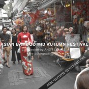 Asian bamboo mid autumn festival luts icon