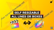 Box titles self resizing icon