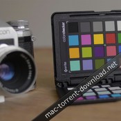 Leeming lut one panasonic icon