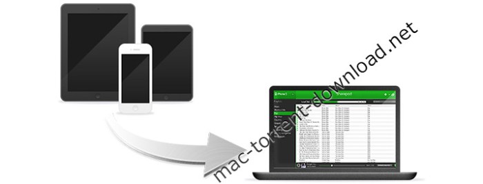 macroplant_sharepod_4320.jpg macroplant_sharepod_4320