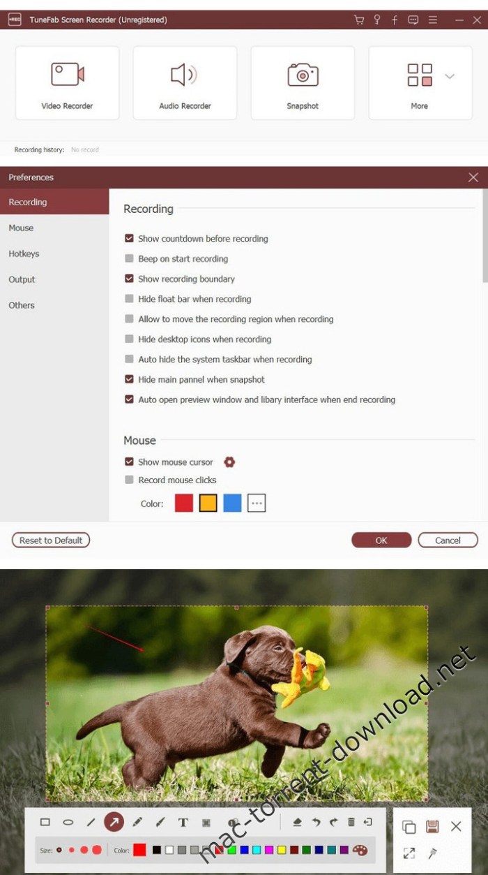 tunefab_screen_recorder_106.jpg tunefab_screen_recorder_106