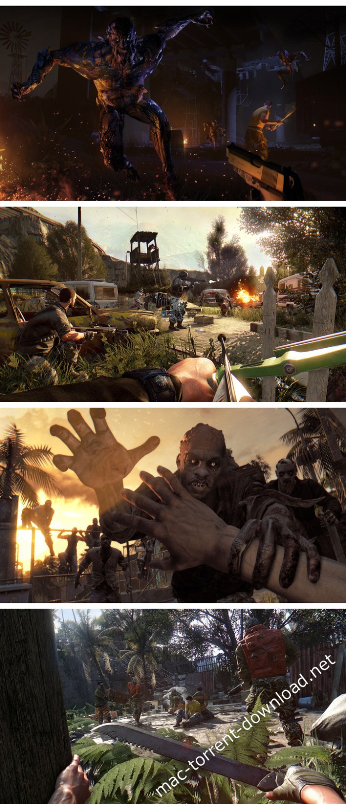 dying_light