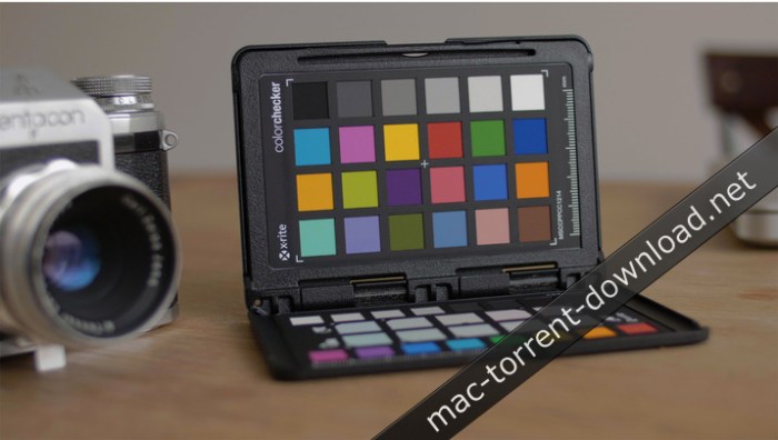 leeming_lut_one_panasonic_gh4_g7_g80_cined_v323_plus_quickies_win_mac