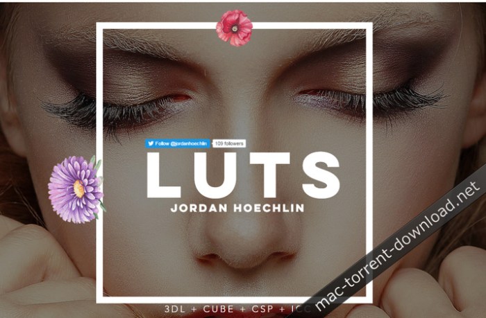 jordan_hoechlin_22plus_luts_win_mac