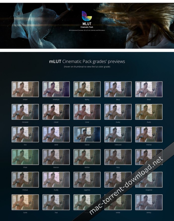 motionvfx_mlut_cinematic_pack_30_professional_cinematic_3d_luts_win_mac