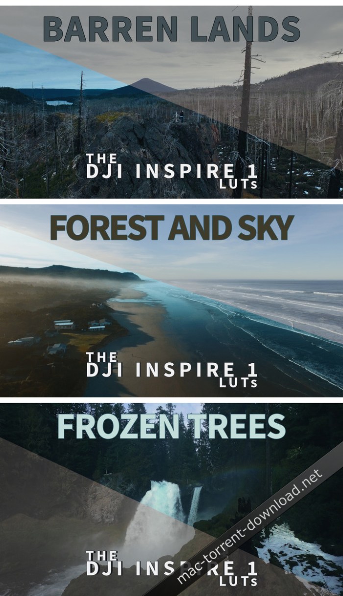 neumannfilms_the_dji_inspire_1_luts_for_photoshop_after_effects_premiere_resolve_and_final_cut….jpg NeumannFilms - The DJI Inspire 1 LUTs