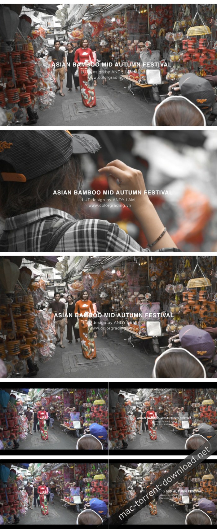 Asian Bamboo Mid Autumn Festival LUTs