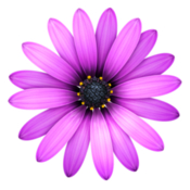 Textmate 2 code markup editor with many features icon