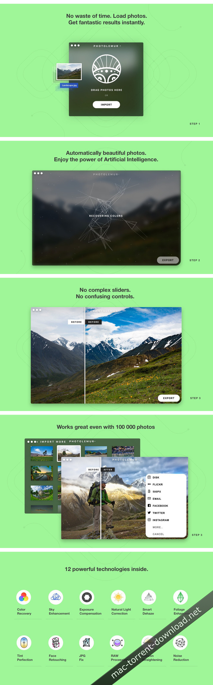 photolemur_211