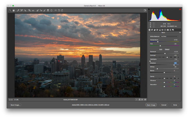 adobe_camera_raw_98_final