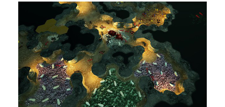empires_of_the_undergrowth_0202_early_access