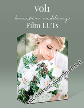 Kreativ wedding luts vol1 icon