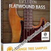 Orange Tree Samples Evolution Flatwound Bass