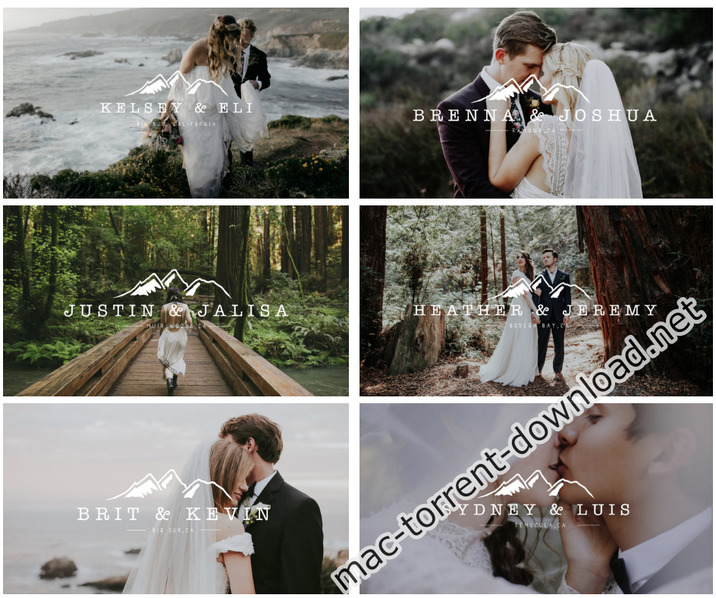 forestry_film_luts