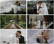Forestry film luts icon