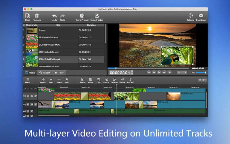 2_MovieMator_Video_Editor_Pro.jpg