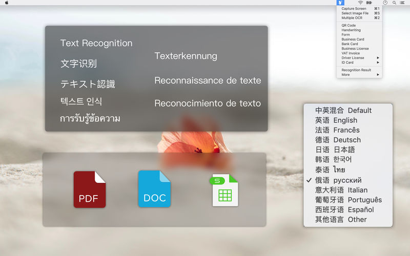 2_Text_Scanner_PDF_Document.jpg