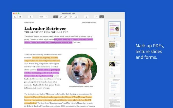 2_Notability.jpg