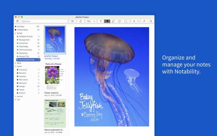 4_Notability.jpg